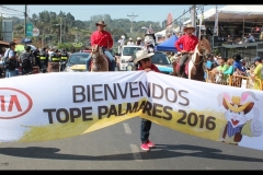 Tope Palmares 2016